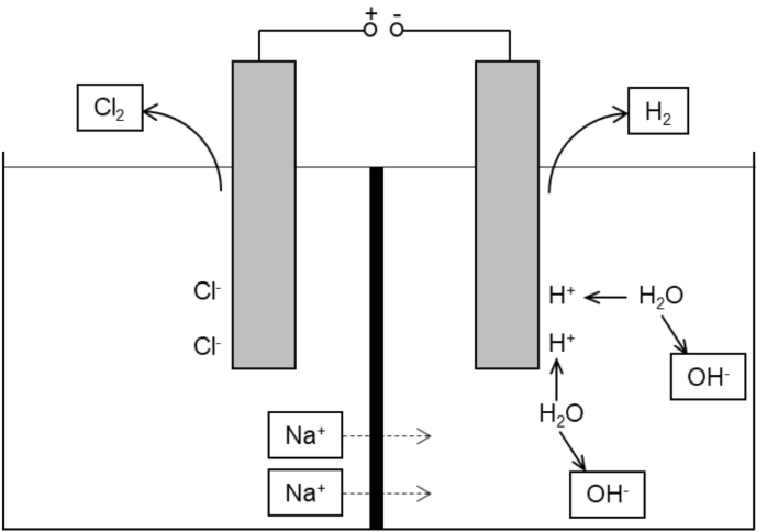 Schematische Elektrolyse von NaCl-Lösung: Anode bildet Cl2, Kathode H2, Na+-Transport durch Membran, OH− Bildung.